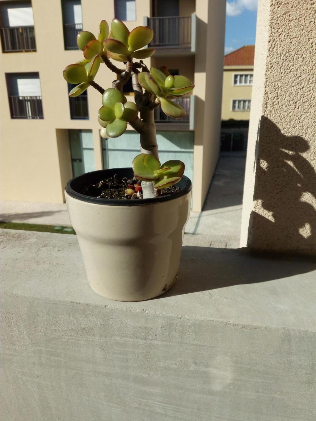 Alojamento Calypso Povoa de Varzim Luaran gambar