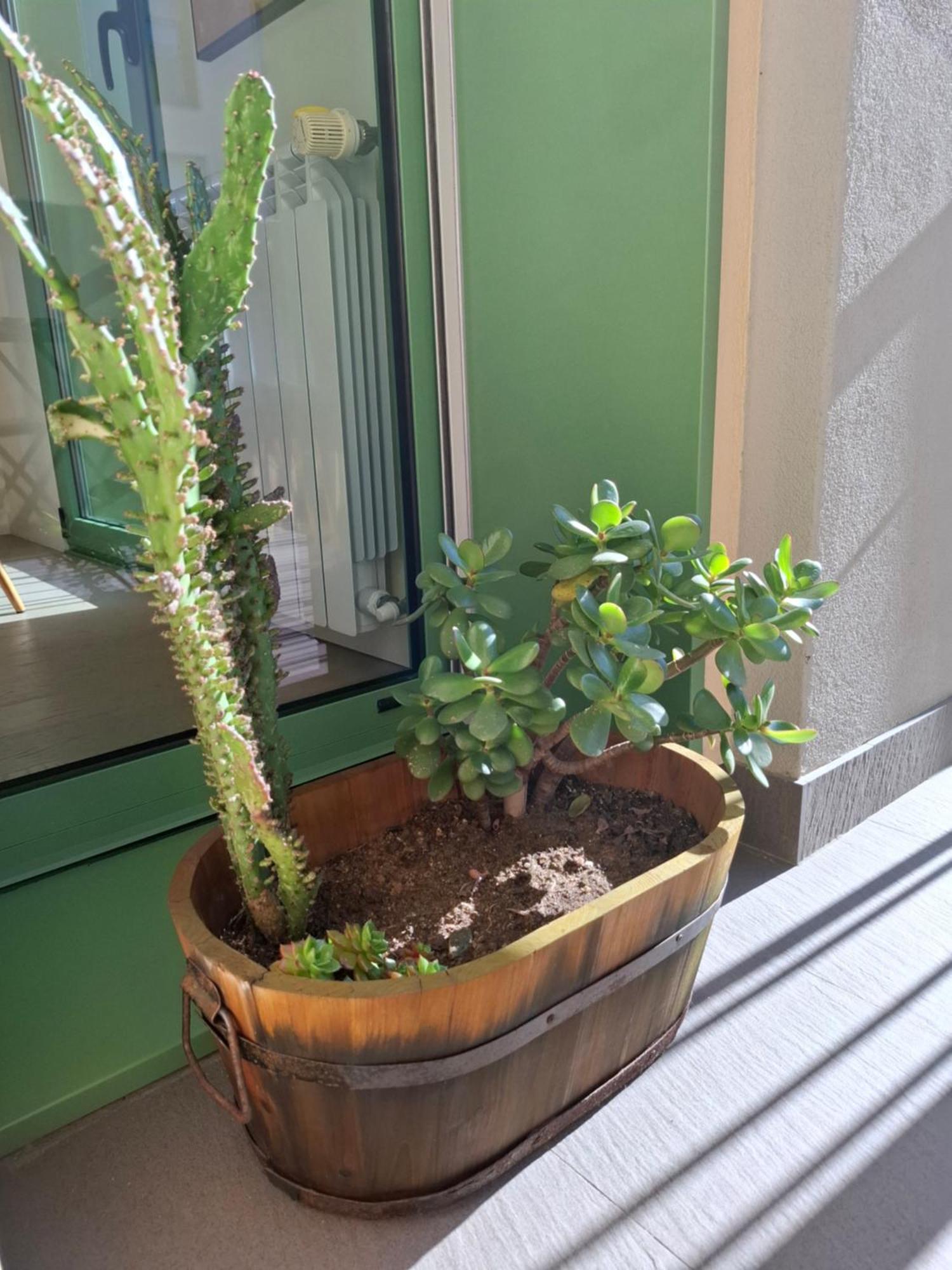 Alojamento Calypso Povoa de Varzim Luaran gambar